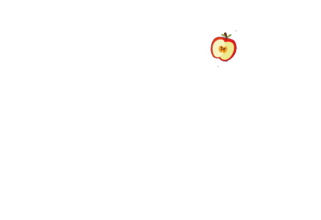 Les zooms santé